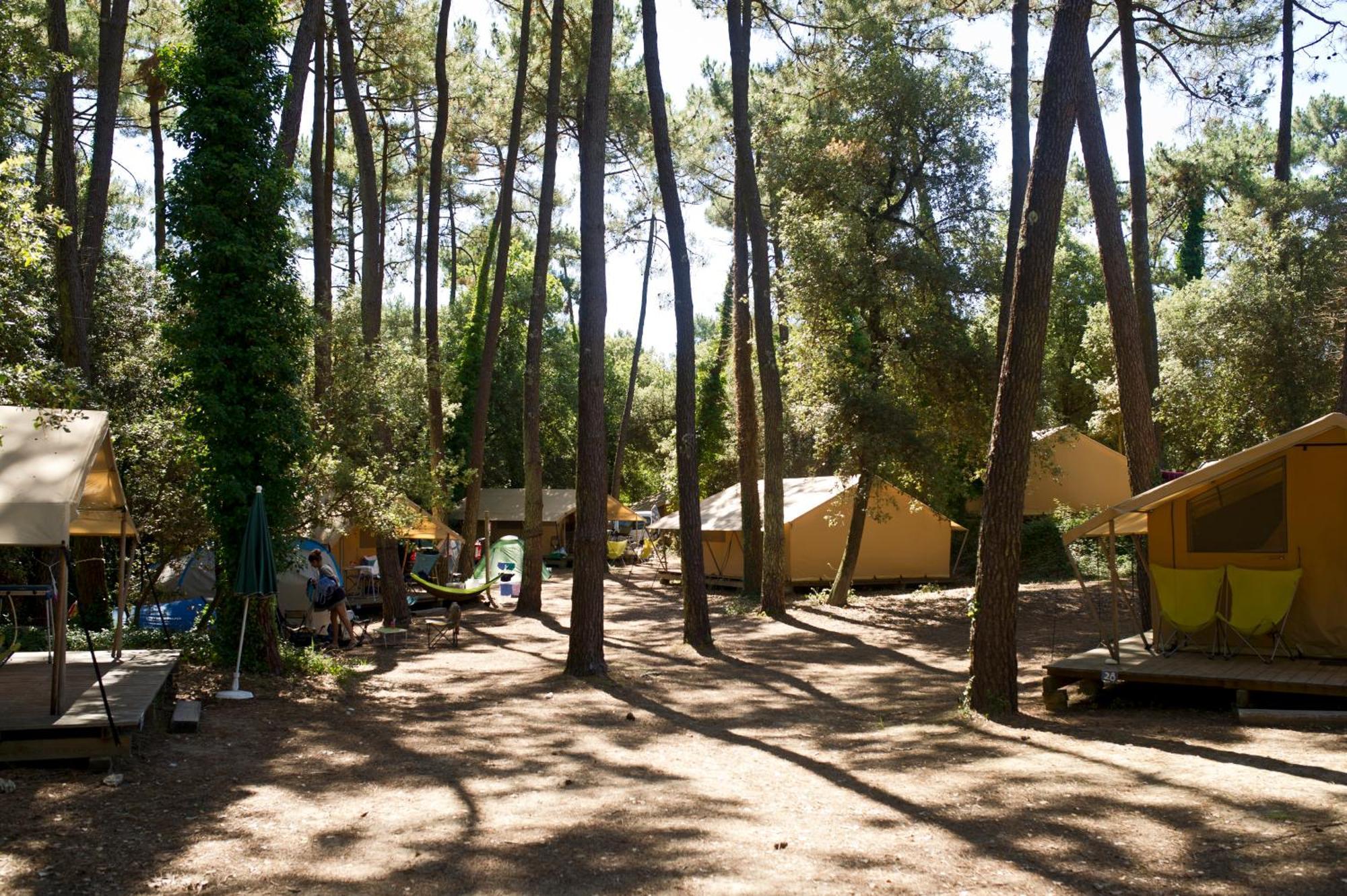 Huttopia Oleron Les Chenes Verts Dolus d'Oléron الغرفة الصورة