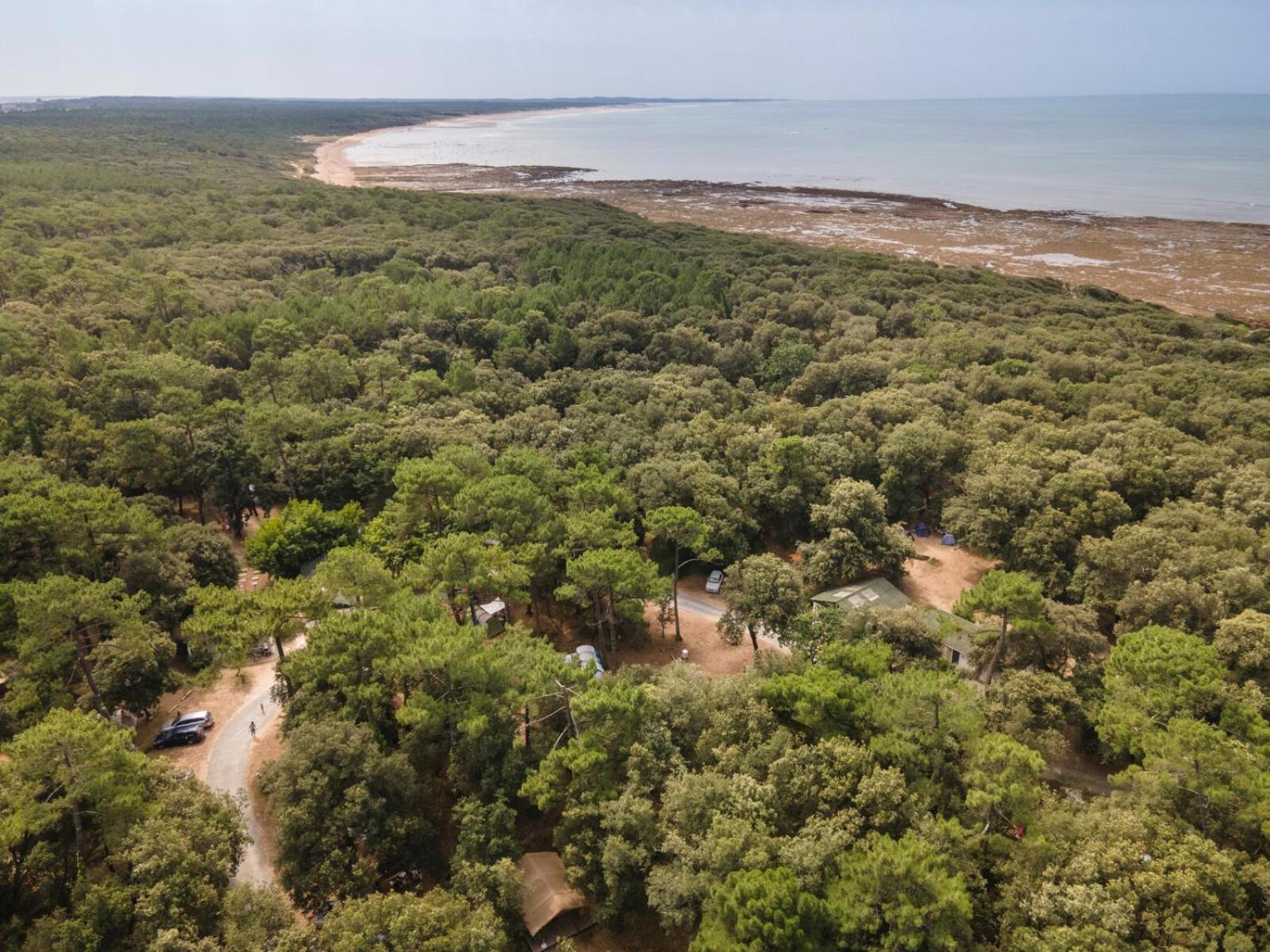 Huttopia Oleron Les Chenes Verts Dolus d'Oléron المظهر الخارجي الصورة